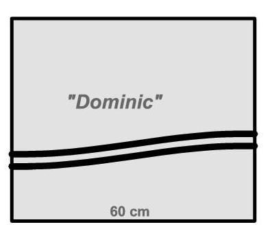 modul-dominic