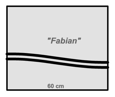 modul-fabian